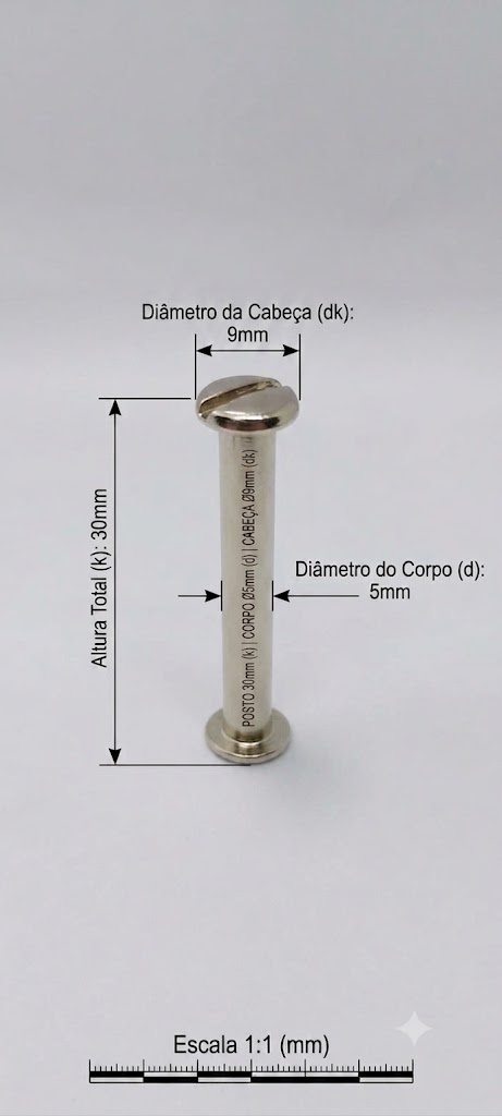 Parafuso de Metal 30 mm _ Ref 906